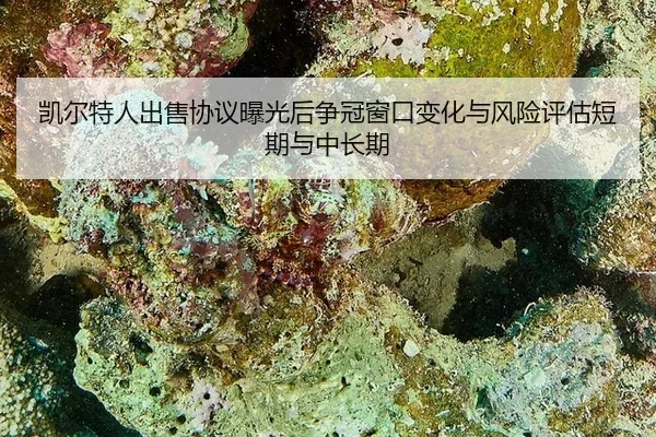 kai-er-te-ren-chu-shou-xie-yi-bao-guang-hou-zheng-guan-chuang-kou-bian-hua-yu-feng-xian-ping-gu-duan-qi-yu-zhong-chang-2-312.jpg